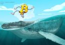 BTC price forms new support at $16.8K as Bitcoin lures ‘mega whales’